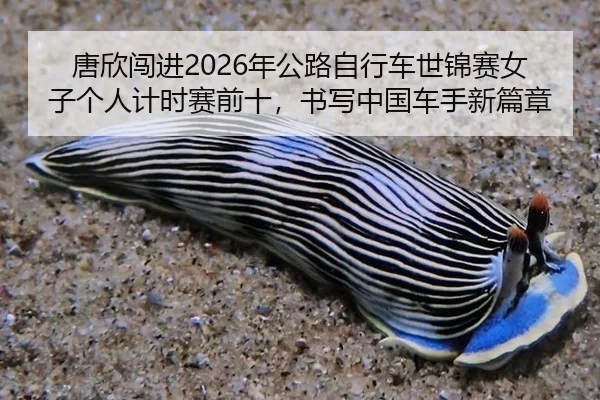 唐欣闯进2026年公路自行车世锦赛女子个人计时赛前十，书写中国车手新篇章